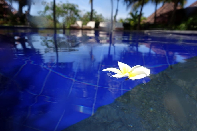 Imagen general del Hotel Liberty Dive Resort. Foto 1