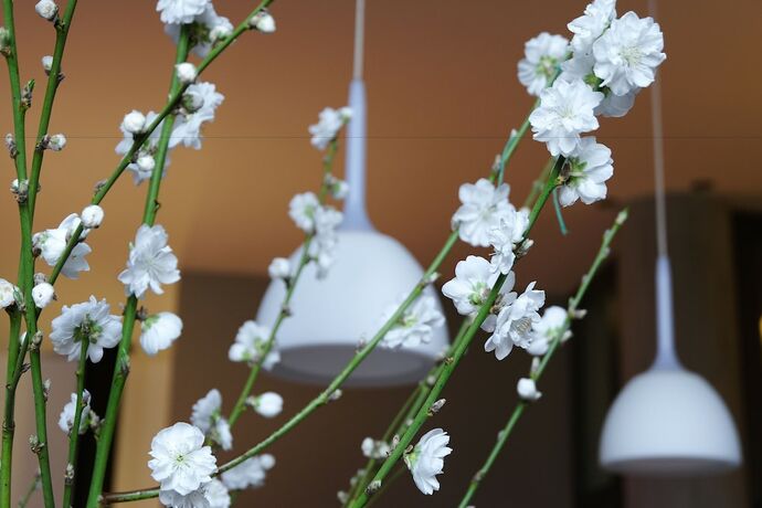 Imagen general del Hotel Liberty, Levico Terme. Foto 2