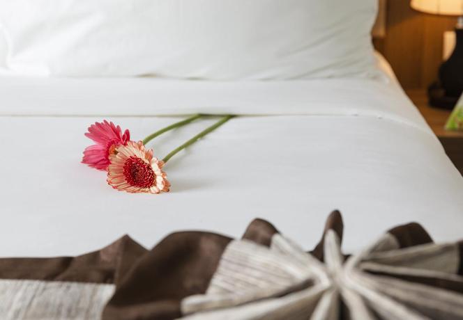 Imagen de la habitación del Hotel Libra Nha Trang. Foto 8