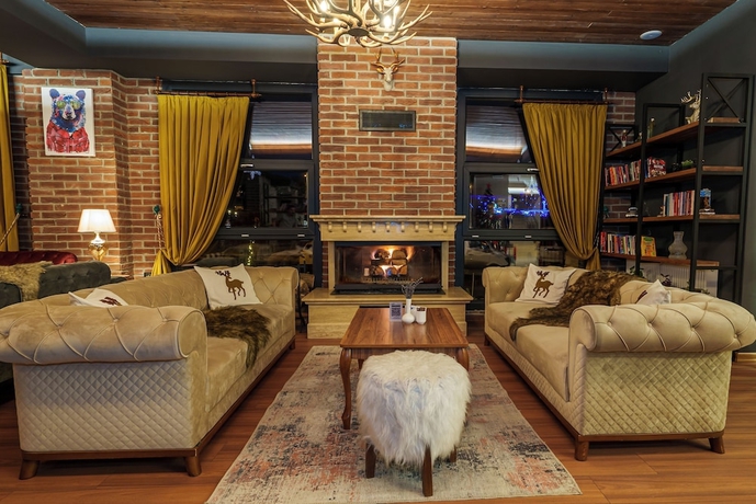 Imagen de los interiores del Hotel Library Erciyes. Foto 18