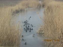 Imagen de la habitación del Hotel Lidiya Hotel. Foto 31