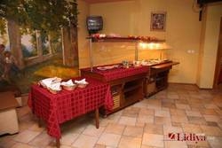 Imagen general del Hotel Lidiya Hotel. Foto 10