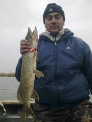 Imagen general del Hotel Lidiya Hotel. Foto 11