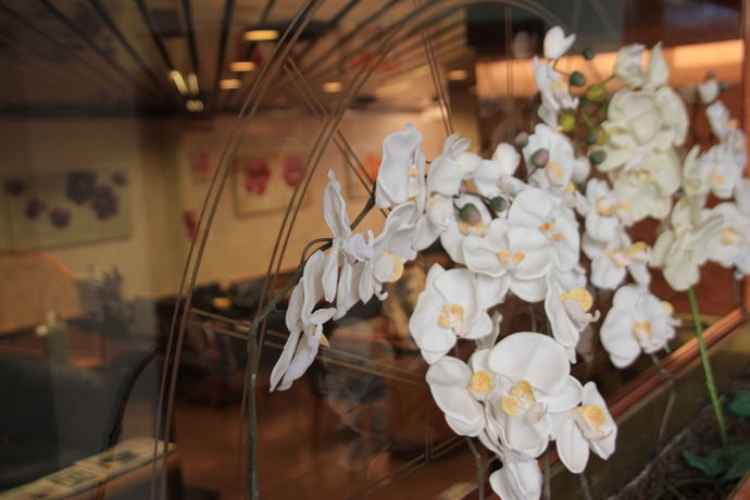 Imagen de los interiores del Hotel Lido, Milán. Foto 10