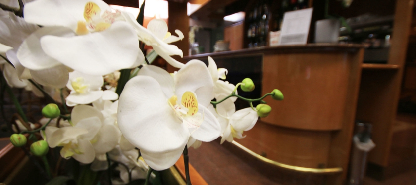 Imagen de los interiores del Hotel Lido, Milán. Foto 16