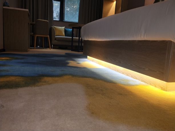 Imagen de la habitación del Hotel Lifu Shachong Metro Branch. Foto 9