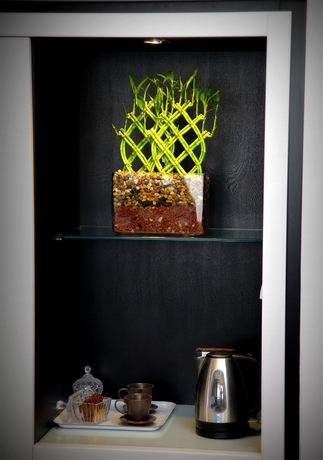 Imagen de los interiores del Hotel Lighthouse By Brown Hotels. Foto 13