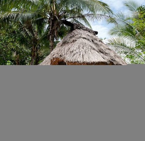 Imagen de los exteriores del Hotel Likuri Island Resort Fiji. Foto 14