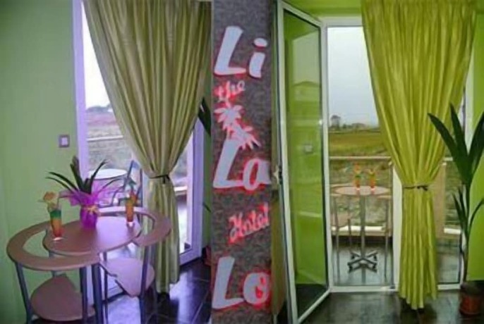 Imagen de la habitación del Hotel Lilalo. Foto 19