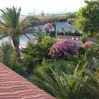 Imagen de los exteriores del Hotel Lili, Amoudara (Heraklion). Foto 4