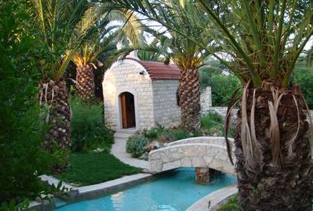 Imagen de la piscina del Hotel Lili. Foto 7