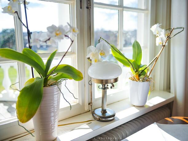 Imagen general del Hotel Liljeholmen Herrgård. Foto 6