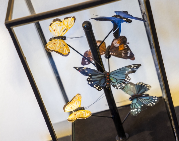 Imagen de los interiores del Hotel Lilla Roberts. Foto 13