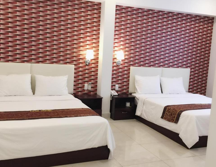 Imagen general del Hotel Lilly. Foto 4