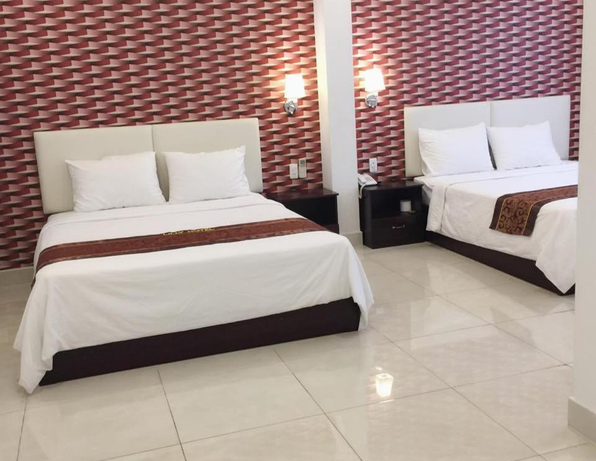 Imagen general del Hotel Lilly. Foto 6