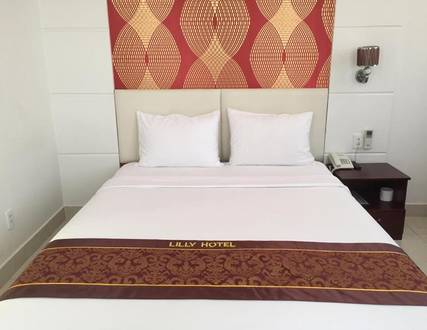 Imagen general del Hotel Lilly. Foto 10