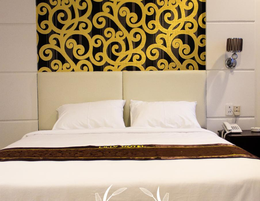 Imagen general del Hotel Lilly. Foto 14
