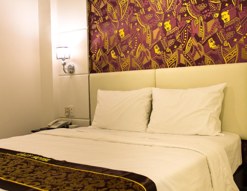 Imagen general del Hotel Lilly. Foto 16
