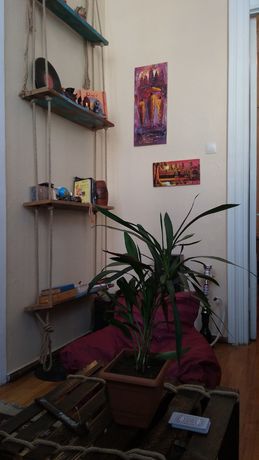 Imagen de los interiores del Hotel Lilus Hostel. Foto 9