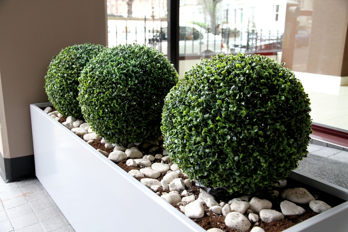 Imagen de los exteriores del Hotel Lily. Foto 13