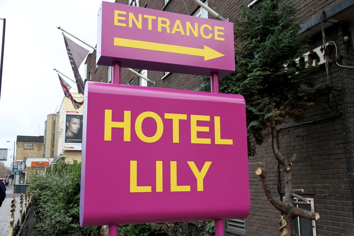 Imagen general del Hotel Lily, Londres. Foto 1