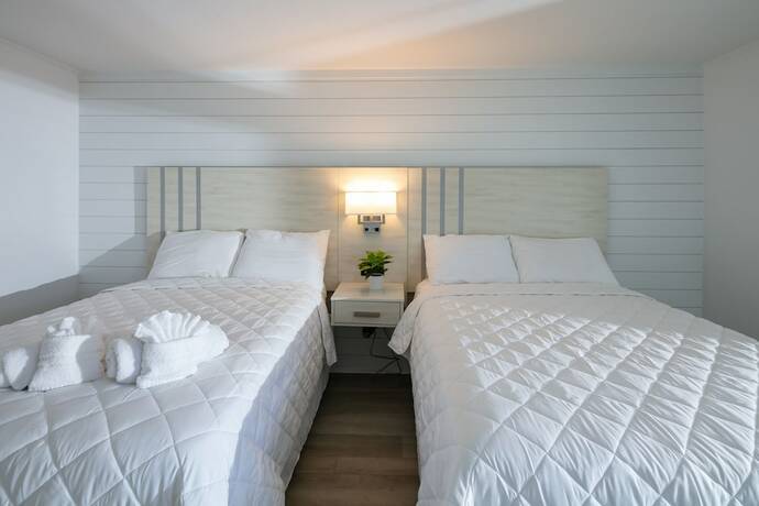 Imagen general del Hotel Lily and Bloom. Foto 4