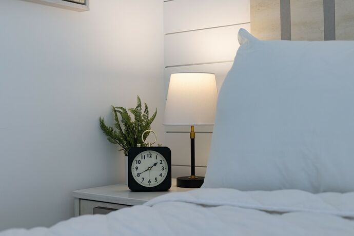 Imagen general del Hotel Lily and Bloom. Foto 7
