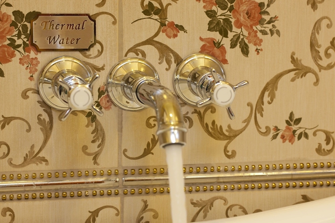 Imagen de la habitación del Hotel Limak Thermal Boutique - Boutique Class. Foto 16