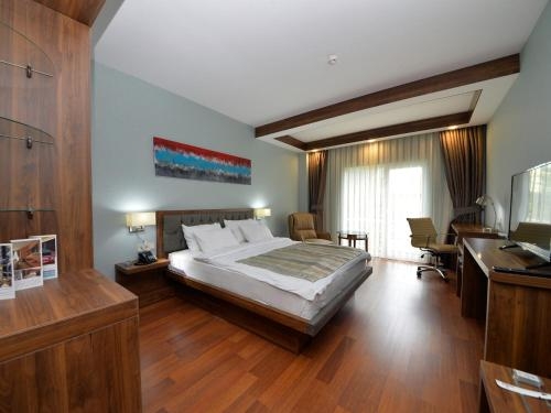 Imagen de la habitación del Hotel Limapark, SAKARYA. Foto 6