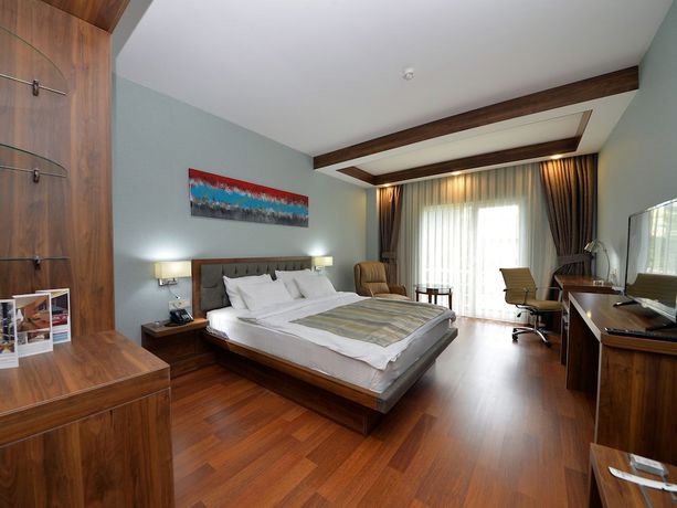 Imagen de la habitación del Hotel Limapark, Serdivan. Foto 9