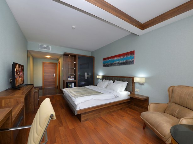 Imagen de la habitación del Hotel Limapark, Serdivan. Foto 10