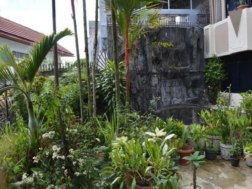 Imagen general del Hotel Lima\'s hotel. Foto 13