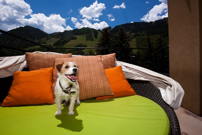 Imagen de los exteriores del Hotel Limelight Aspen. Foto 11