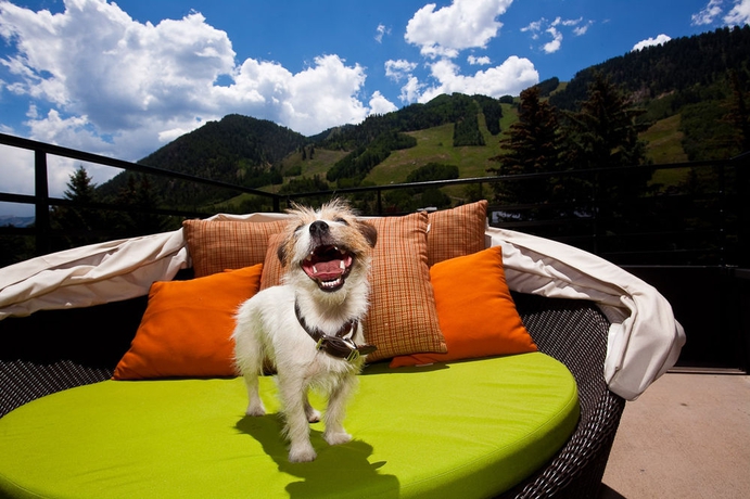 Imagen de los exteriores del Hotel Limelight Aspen. Foto 12