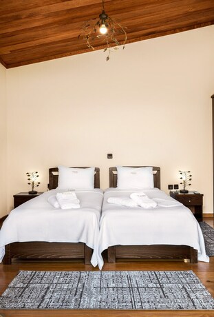 Imagen general del Hotel Limneo. Foto 10