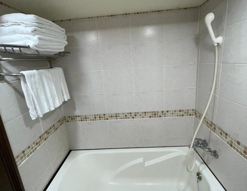 Imagen general del Hotel 苓旅-站前 Lin Inn TMS. Foto 11