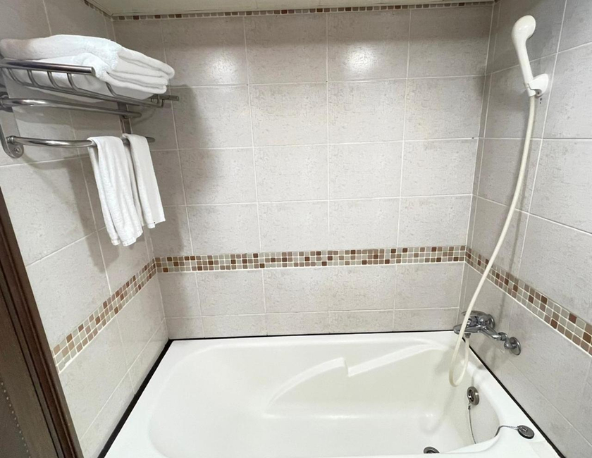 Imagen general del Hotel 苓旅-站前 Lin Inn TMS. Foto 23