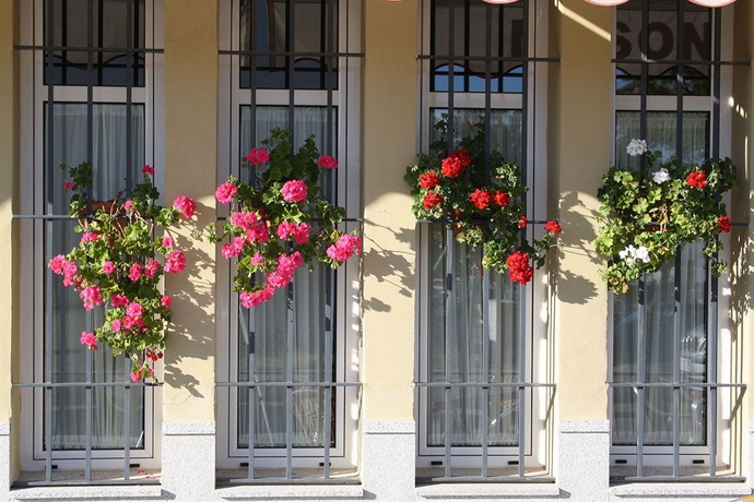 Imagen de los exteriores del Hotel Lince. Foto 16