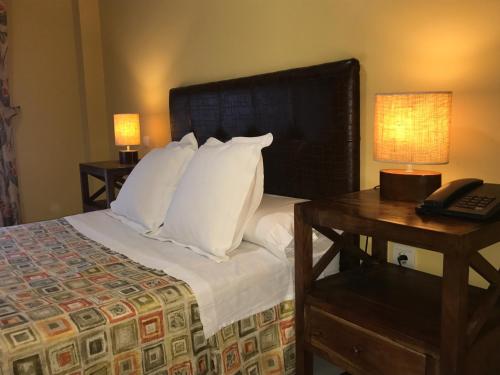 Imagen general del Hotel Lince. Foto 8