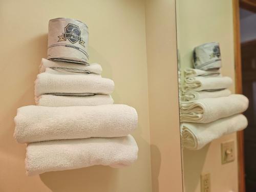 Imagen general del Hotel Lincoln Host Motor Inn, North Town. Foto 13