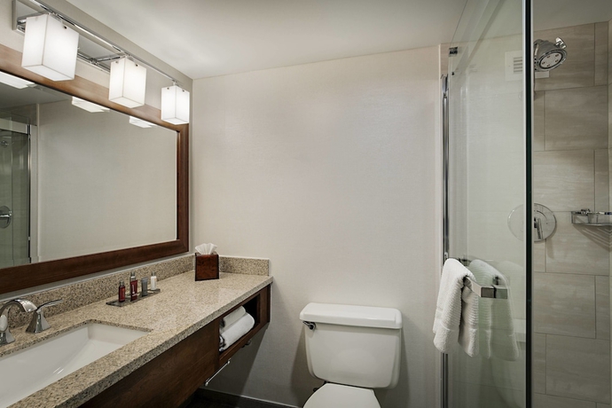 Imagen de la habitación del Hotel Lincolnshire Marriott Resort. Foto 4