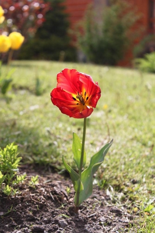 Imagen general del Hotel Linda Vista Apart. Foto 5