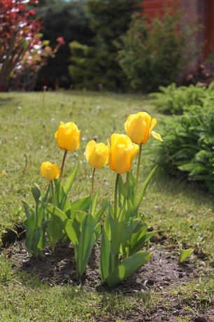 Imagen general del Hotel Linda Vista Apart. Foto 6