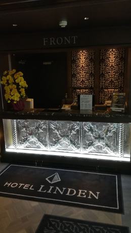 Imagen de los interiores del Hotel Linden Oji. Foto 19