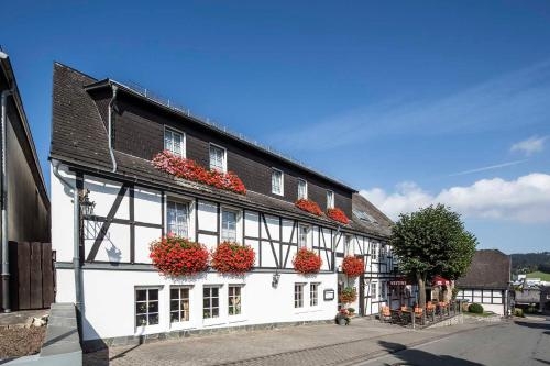 Imagen general del Hotel Lindenhof, Meschede. Foto 3