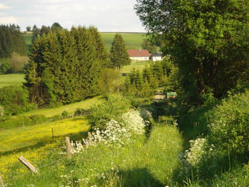 Imagen de la habitación del Hotel Lindenhof, Weywertz. Foto 3