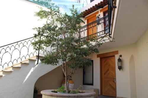 Imagen general del Hotel Lindo Ajijic Bed & Breakfast. Foto 3
