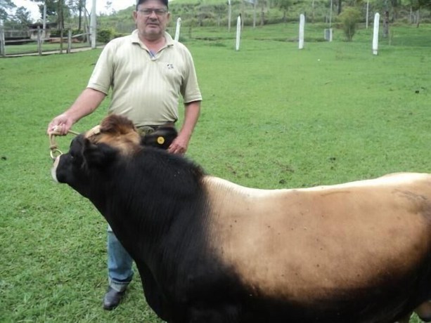 Imagen de los interiores del Hotel Lindoia Rural. Foto 17