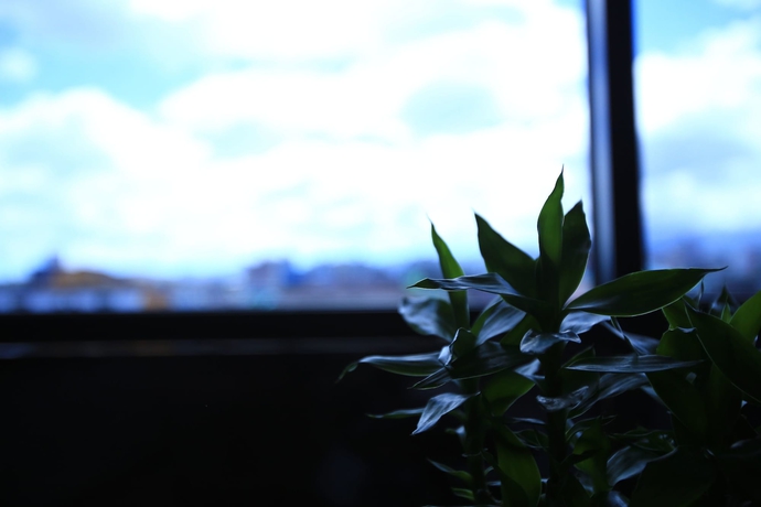 Imagen de la habitación del Hotel Line. Foto 15