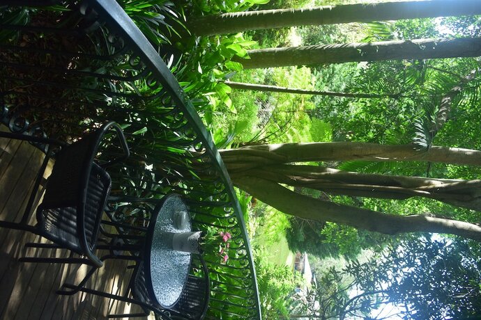 Imagen general del Hotel Linger A While Chalet. Foto 5